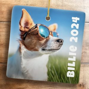 Pet dog cat photo ceramic ornament with fun font text